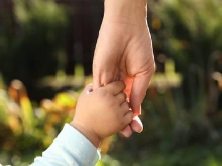 Arlington Heights, IL family law attorney